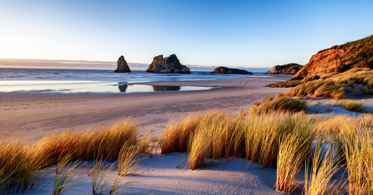 Contiki New Zealand: What You Need to Know Before You Book