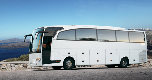 Wild Kiwi vs Contiki: Which New Zealand Group Tour is Right for You?