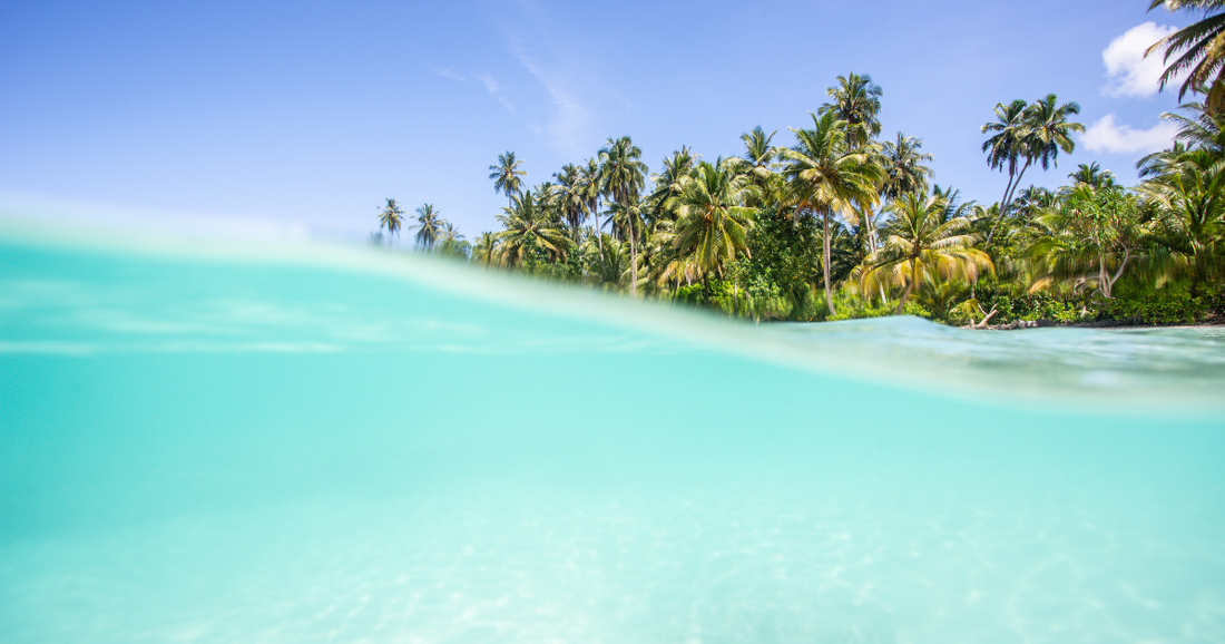 Contiki Australia Itinerary: What You Need to Know