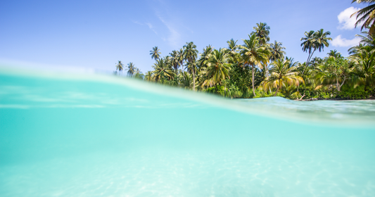 Contiki Australia Itinerary: What You Need to Know