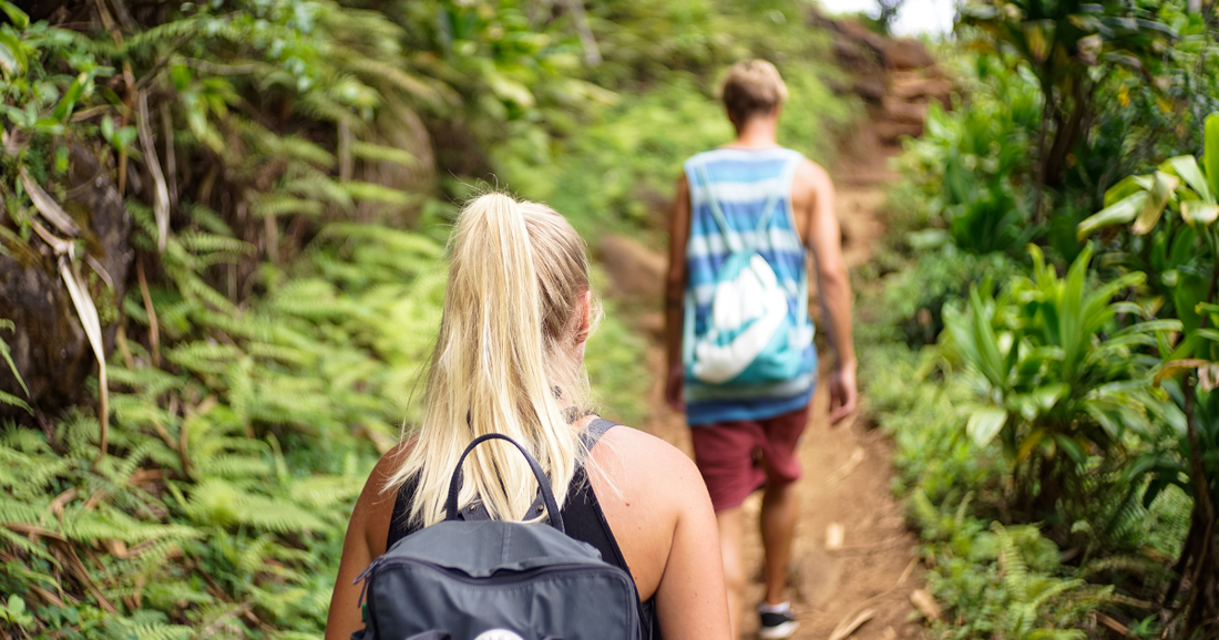 Best New Zealand Group Tours: How to Plan the Trip of a Lifetime Without Getting It Wrong
