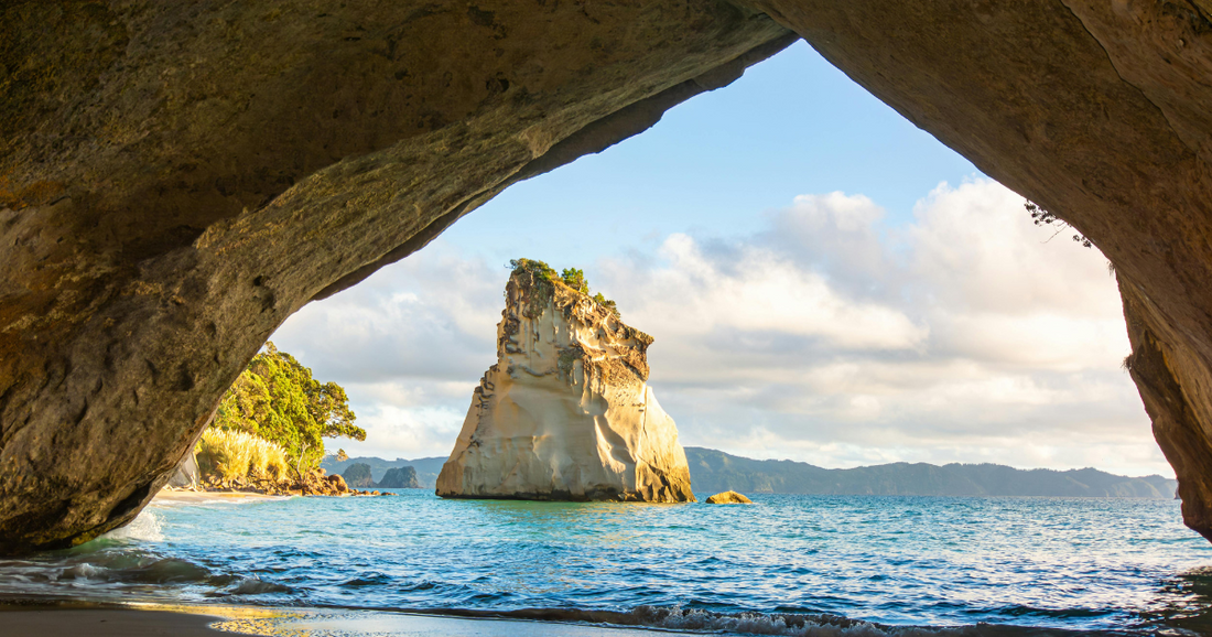 Contiki NZ North Island: Reviewing the Options