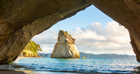 Contiki NZ North Island: Reviewing the Options