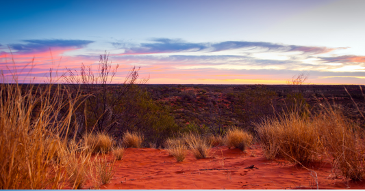Contiki Tours Northern Territory: The Untamed Side of Australia