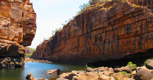 Hop-On Hop-Off Australia vs Contiki: Which One Actually Delivers the Trip You’re Dreaming About?