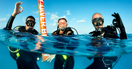 Contiki Cairns Diving: Why the End of Your Trip Deserves More Than a Snorkel